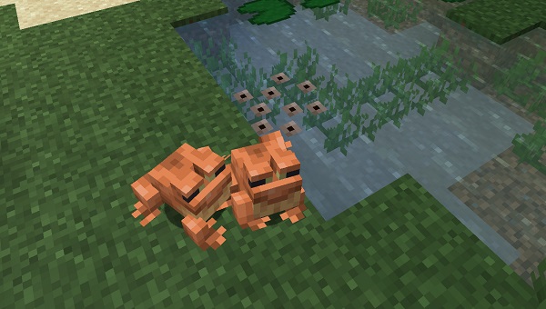 How To Breed Frogs In Minecraft   Breeding Frogs In Minecraft 